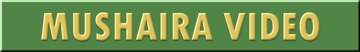 VIDEO BUTTON